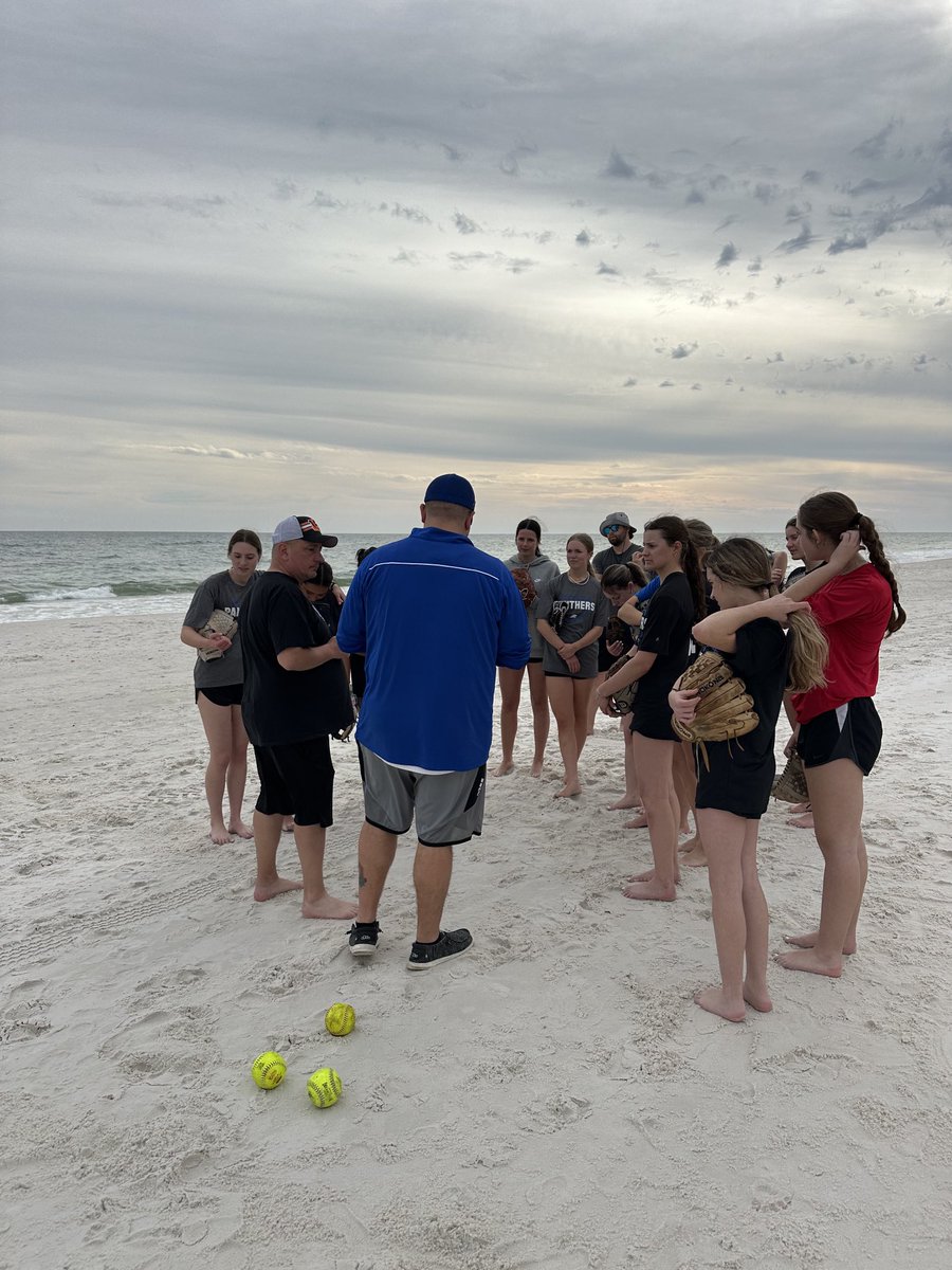 Springboro Softball tweet media