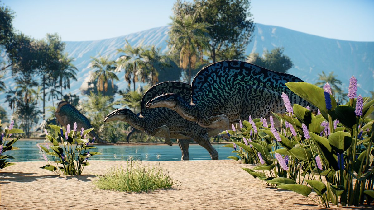 prehistoric fauna photography department 🦖 tweet media