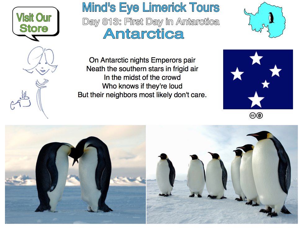 #Limerick #entertainment #humor #store #Antarctica #EmperorPenguin #AuroraAustralis #gifts zazzle.com/store/mindseel…