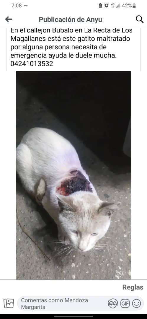 Urge la ayuda. Los Magallanes de Catia.