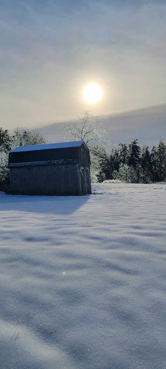 Lucky??? It was ice or 3 feet of snow. C'mon Spring! 😬🤷‍♂️🤣
#WinterWonderland #IceCover #NewEngland #Weather