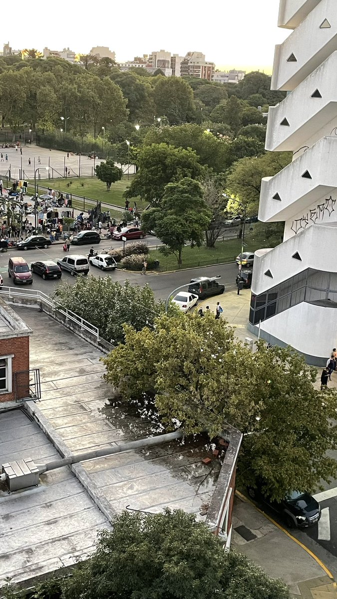 Leonardo O. Mascitelli tweet media