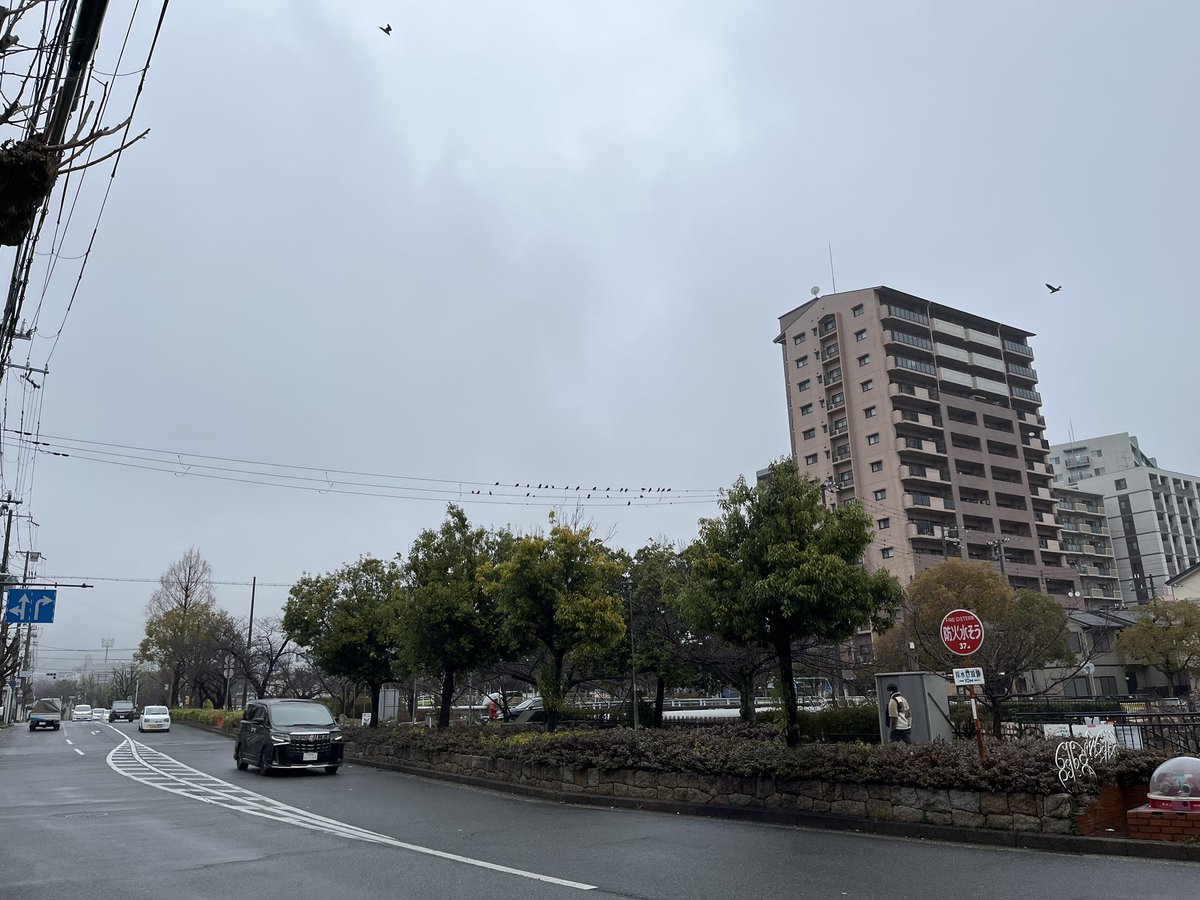 lionya_dot_com's tweet photo. おはようございます。
兵庫県神戸市の空は小雨☂️

3/25月曜日🤗
3月最終週です！
今日もよろしくお願い致します❣️

作業着の通販ライオン屋ドットコム
https://t.co/G6bj5sXK5c

#作業服 #安全靴 #ライオン屋 #ライオン屋ドットコム #らいおん #まとめ買いがお得 #企業公式が毎朝地元の天気を言い合う https://t.co/SHhL0eteUO