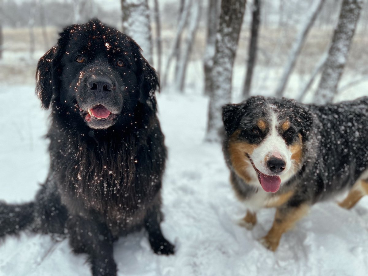 Snow day! ❄️☃️🌨️