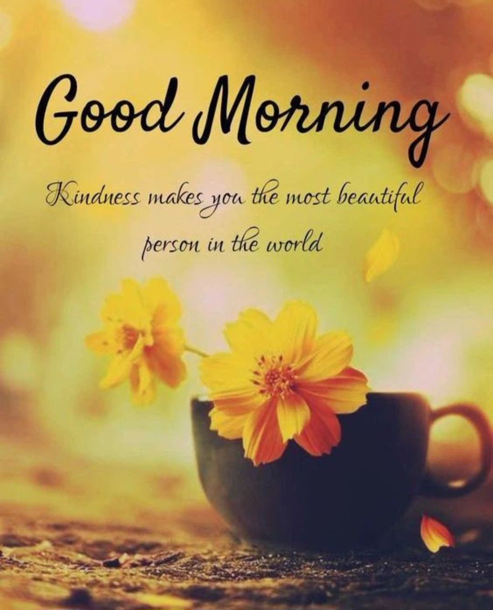 Good Morning