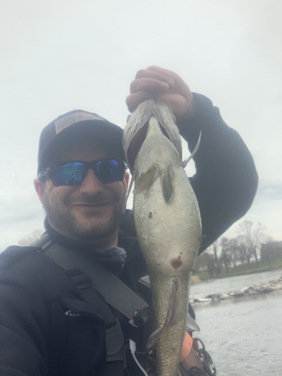 adicted_angler's tweet photo. Some real nice smallmouth of the river https://t.co/vYVw5wobg8