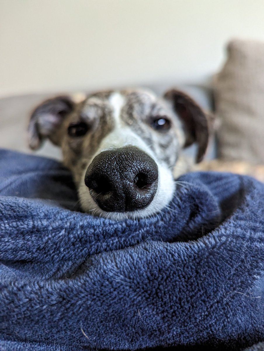 Julie Pintozzi tweet media