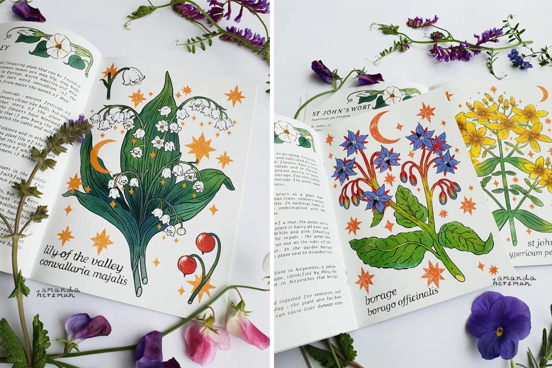 All four volumes each packed with a year of plant illustrations and lore by @amandaherzman are now live for a new limited run! Get yours today and complete your collection 🌼 🍄 mush.house/amandaherzman 🍄