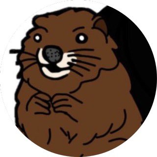 DanielNedelea97's tweet photo. #BOBER is live now on MultiversX and is on🔥🚀 https://t.co/4JrjK6Pmpy