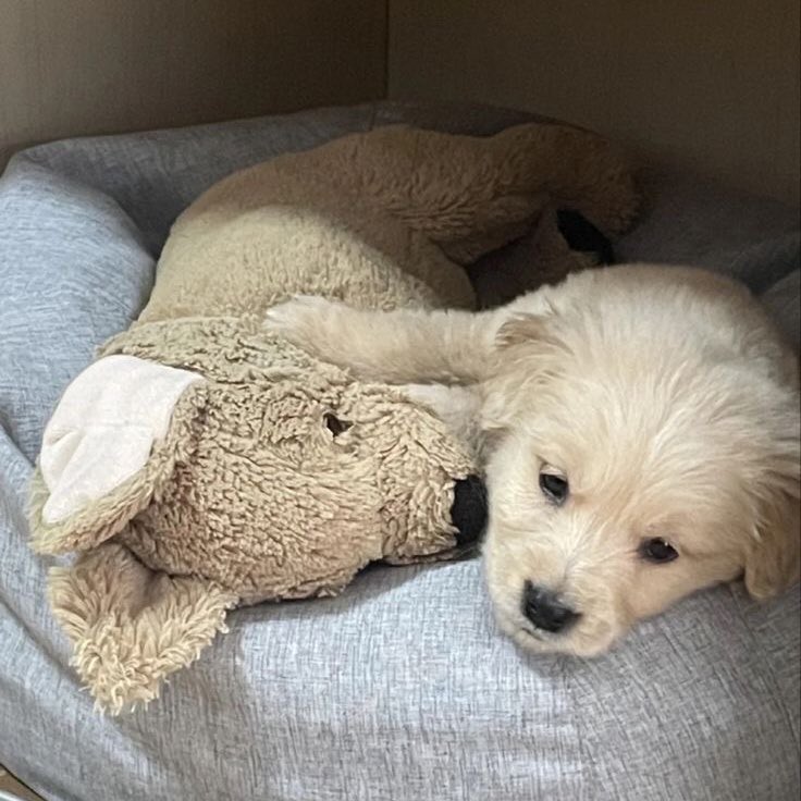 ทุกอย่างมันเปนเพราะเทอไม่จุ้บ ก้เลยฝันร้าย