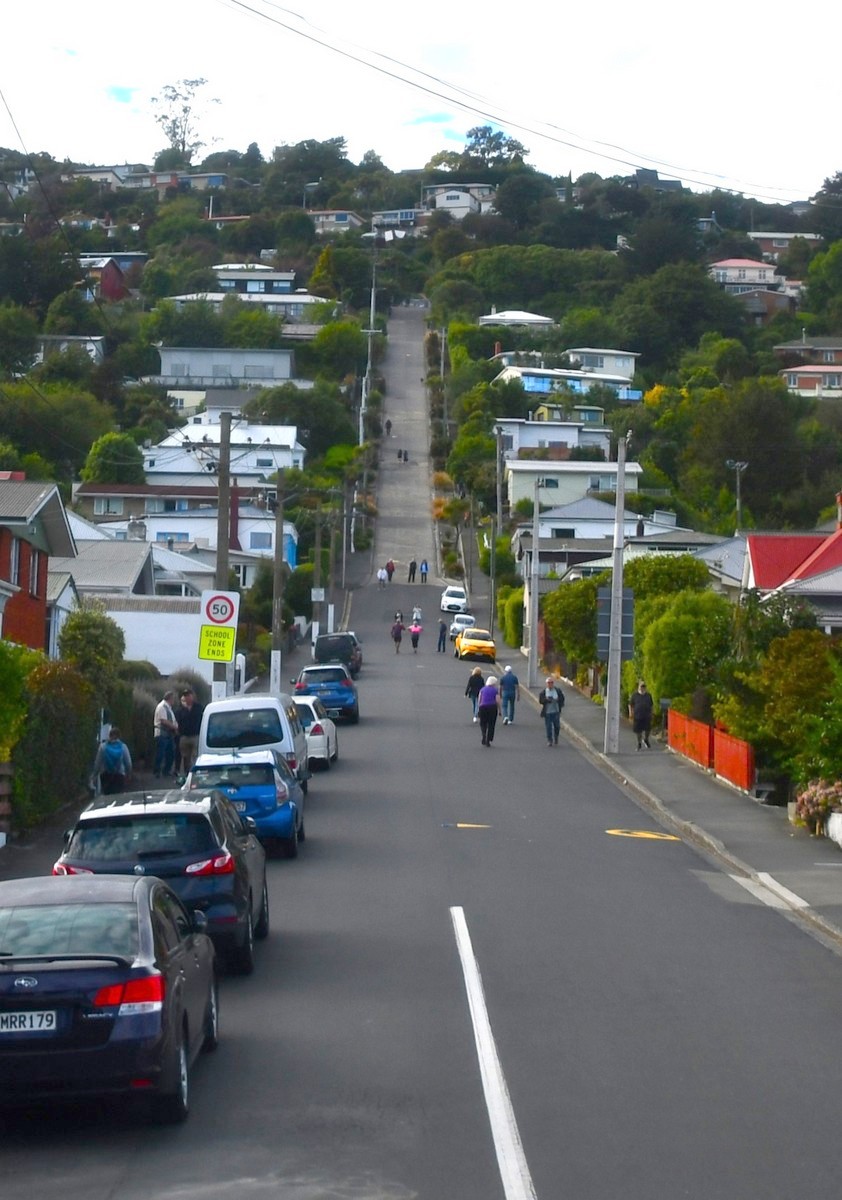 #TravelGumbo #PictureOfTheDay by @TravelMarilyn #ttot #Worlds #SteepestStreet #Dunedin #NewZealand TravelGumbo By Travelers, for Travelers travelgumbo.com/blog/world-s-s…