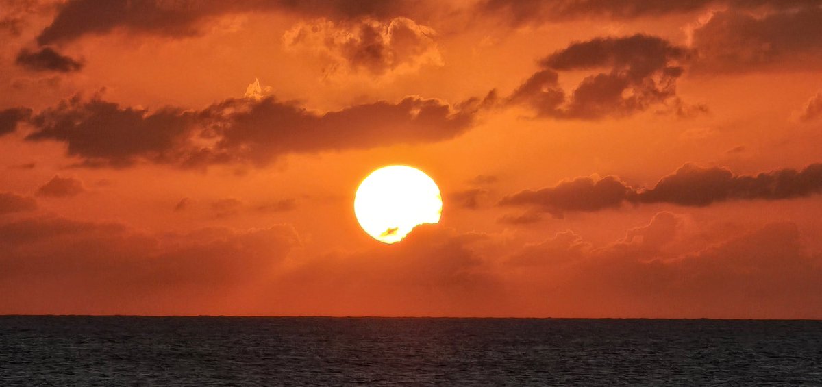 Lurdes_1975's tweet photo. Take these chances ๐
#sun #sunset #sunsetphotography #chances #life #antsmarching #dmb #photooftheday #photography #PhotographyIsArt https://t.co/uYoclQb2T3