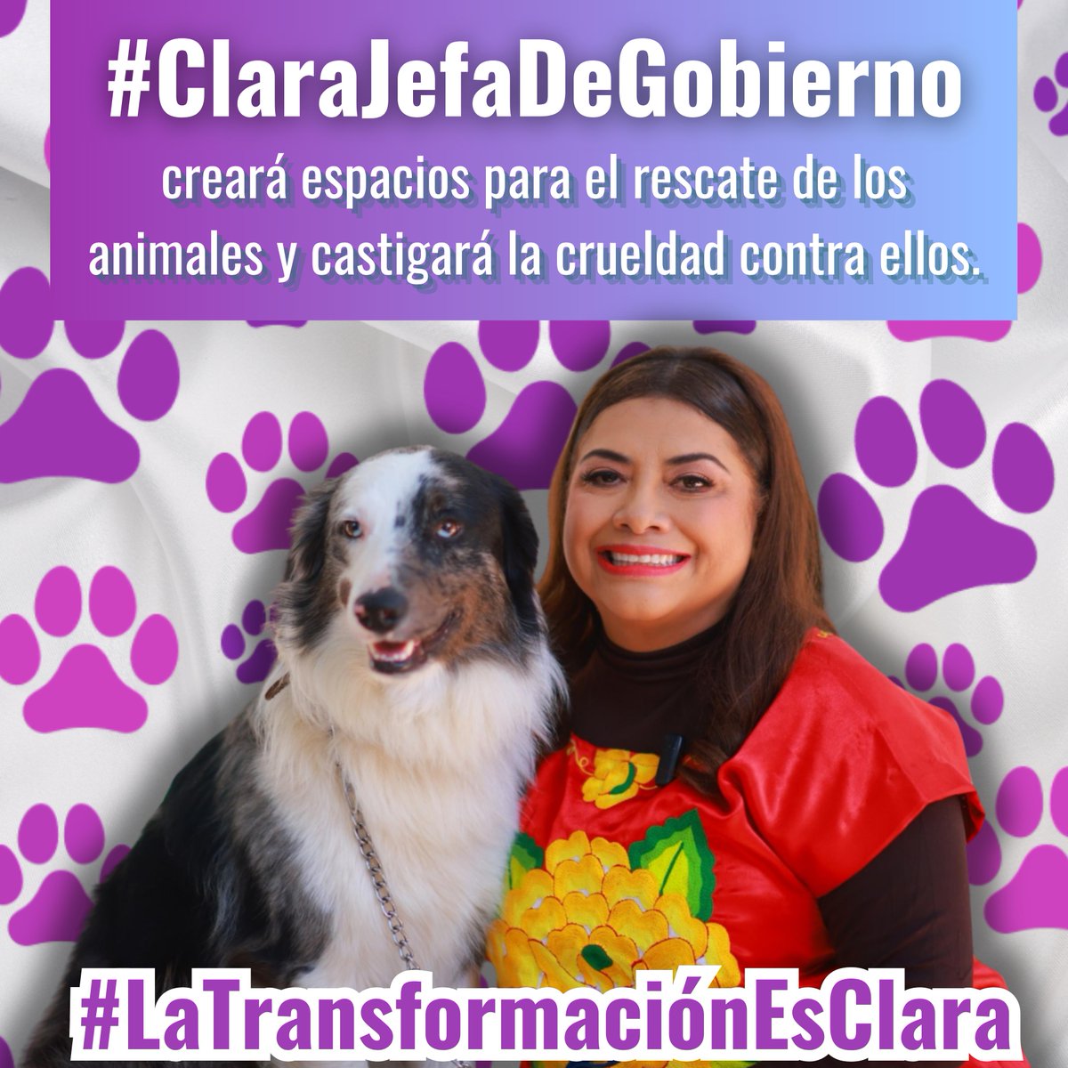 #ClaraJefaDeGobierno 
Clara una mujer humanista y animalista buscando el bienestar para todas, todos y en los animales que no tienen voz pero tienen derecho a una vida digna y justa #ClaraQueSi 
#LaTrqnsformacionEsClara