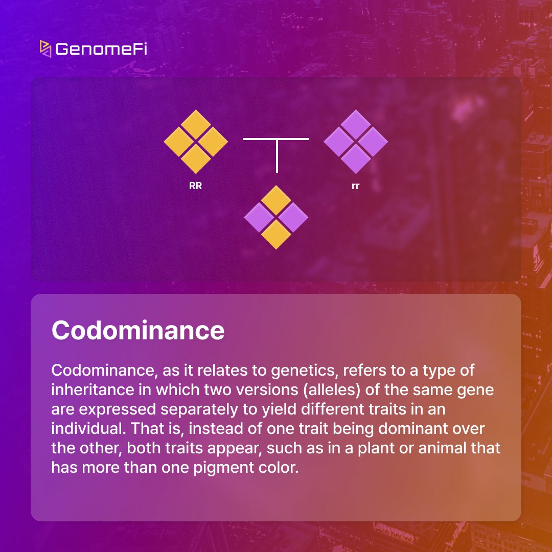 Keyword Snapshot  C -  8

Unlocking the Code of Codominance

Explore the fascinating world of genetics with our Keyword Snapshot card. 

#Genome #Blockchain #Polygon #PolygonLabs #Card #DNA #GENO