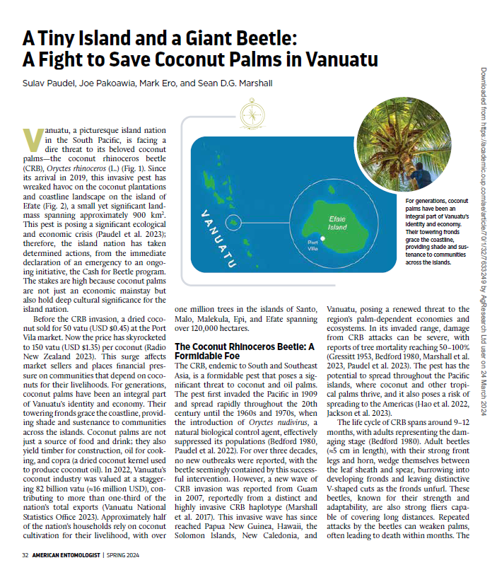 psulav's tweet photo. This is something new for me—a popular article! My five-year-old daughter, unhappy with my frequent trips overseas, once asked, "Could you not just bring the beetle here to New Zealand so that you don't have to travel?"  #rhinobeetle @AgResearchNEWS https://t.co/PH2dFzn7c5 https://t.co/GQ9cg5AblU