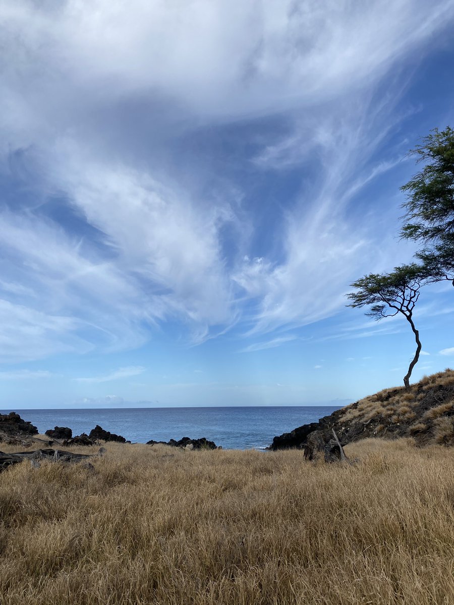 Right before the humpback whales swam by #hawaii