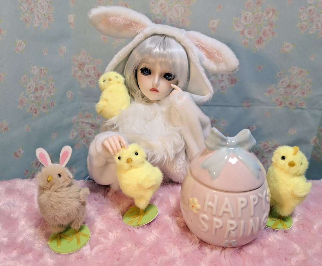 9Smerino2Bsheep's tweet photo. ピヨピヨピヨ…🐥🐤🐥
#DD2B https://t.co/0CBvbfIjrq