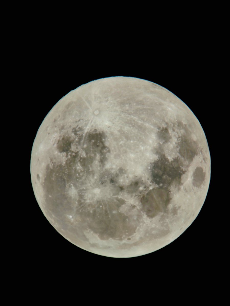seba_sirius's tweet photo. 100% iluminada. Luna llena de esta noche para todos. https://t.co/DYrpL9mSTI