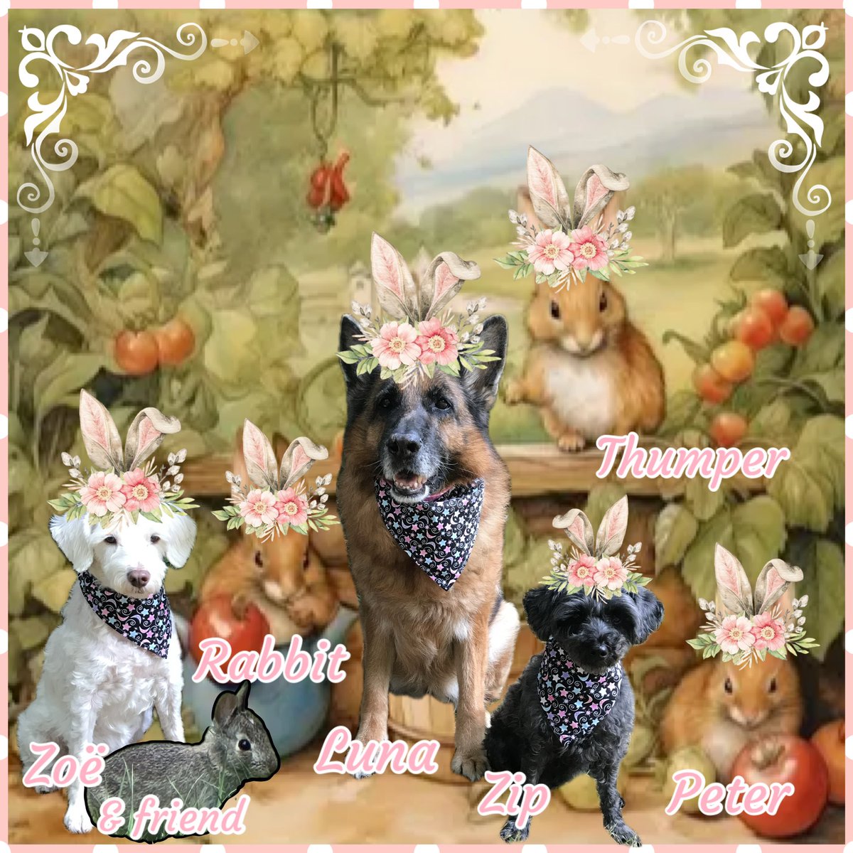 🌸 🐇Hi besties!! We are here with our bunny pals to wish all of you a wonderful week, especially those celebrating special occasions with family and friends 🐇🌸

#Easter
#FamilyTraditions
#EggHunts
#GoddessĒostre 
#SpringAndRebirth
#SpringBreak2024 

🌸💕Luna, Zip, Zoë & Mom