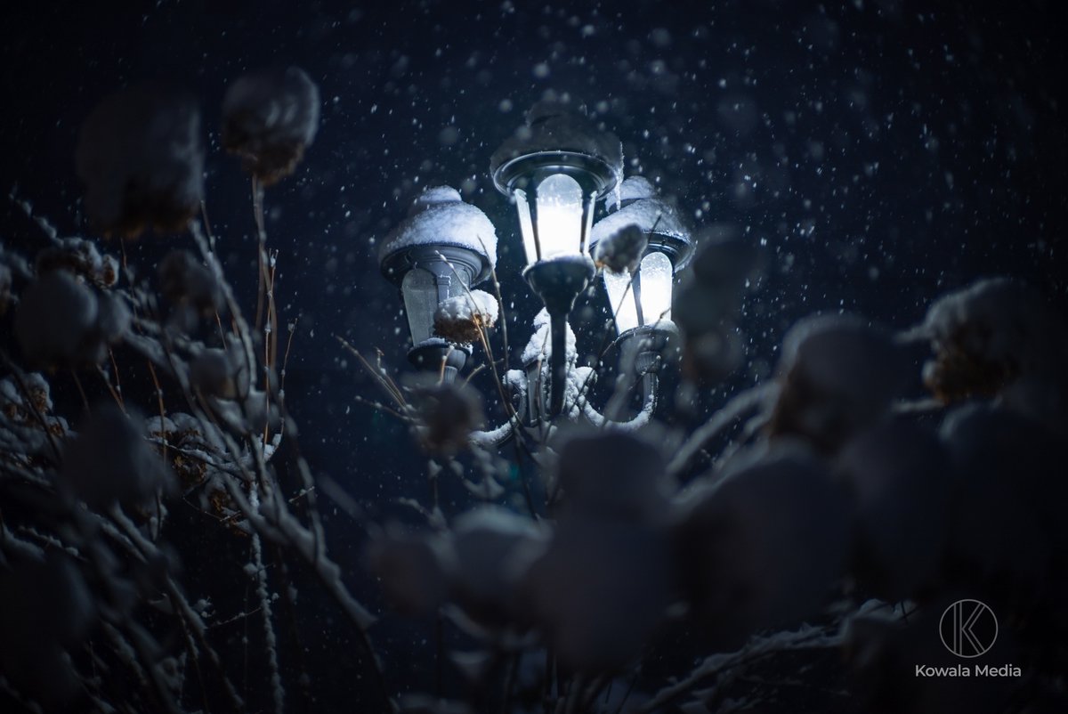 kowalamedia's tweet image. Nothing like that second-round of spring snow to make you feel truly Minnesotan 📷 #MinnesotaSpring #SnowyDays