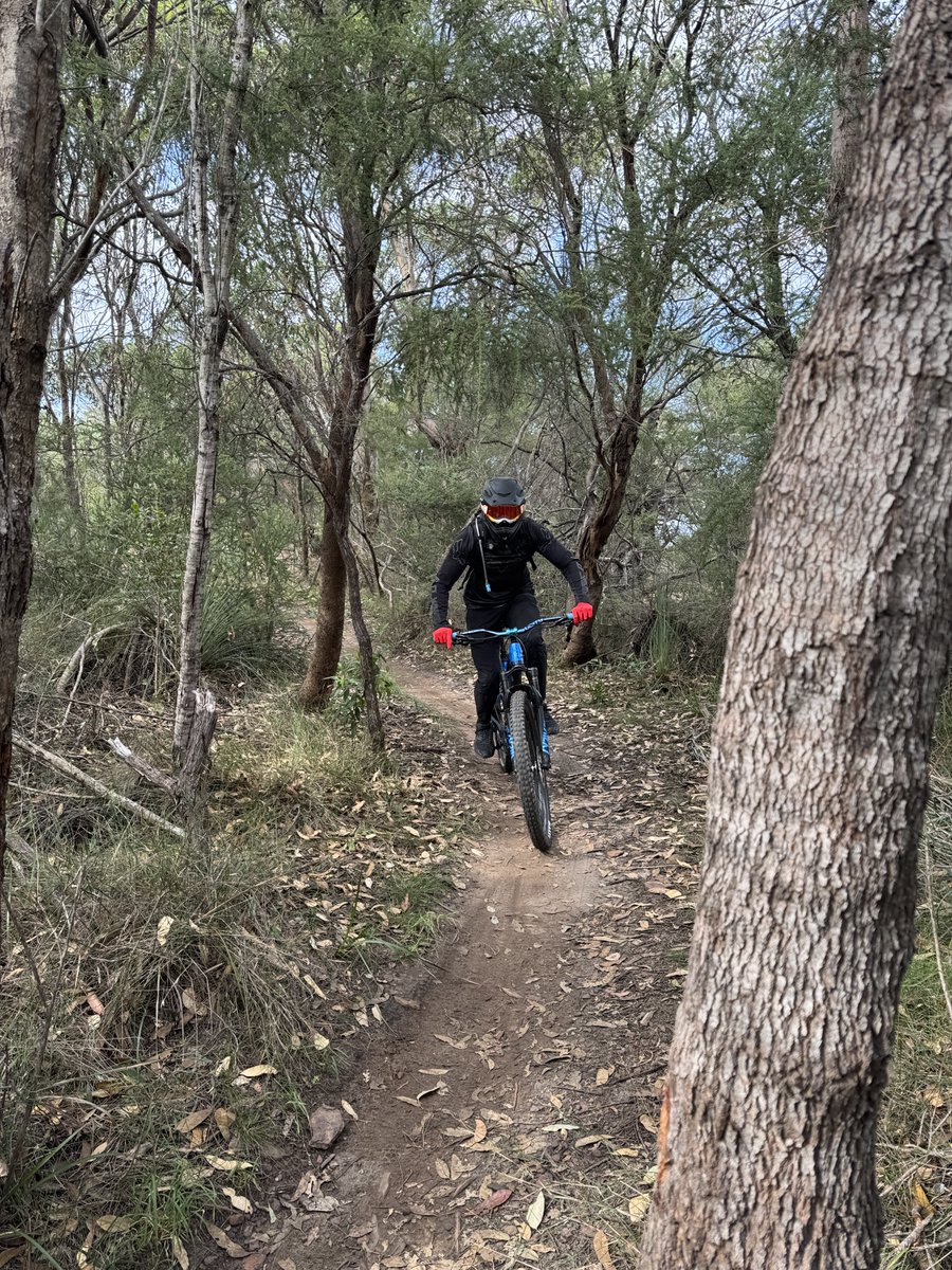 timthebeastpl's tweet photo. Few pics from the trail yesterday 🤙🏻
•
•
•
•
#mtb #mtblife #enduro #enduromtb #endurolife #foxmtb #ride100percent #rockshox #deitycomponents #giantbikesaus #maxxisbike #maxxismtb #freeride #freeridemtb #shimano 
@deitycomponents 
@foxracing 
@RockShox 
@ride100percent https://t.co/Zn2bkdpRj1