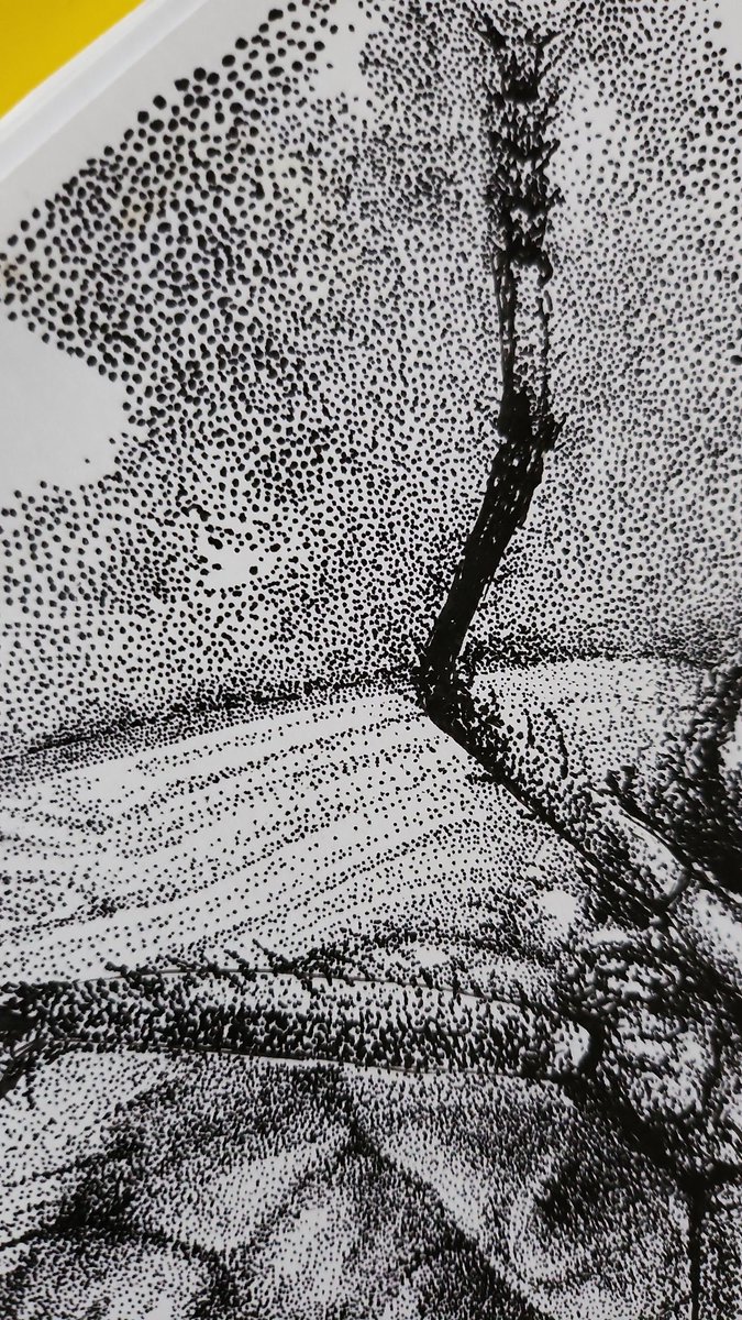 gokce_maki's tweet photo. bzzzzz #buzzzzing #ink #inkpen #stippling #ArtistOnTwitter https://t.co/dtagIsVUtm