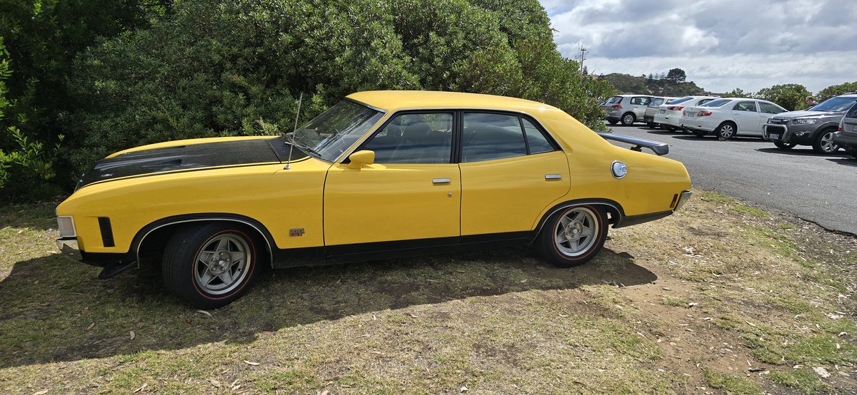 falconforums's tweet image. 