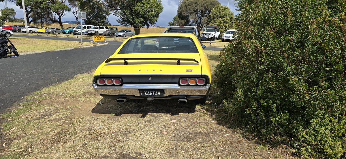 falconforums's tweet image. 