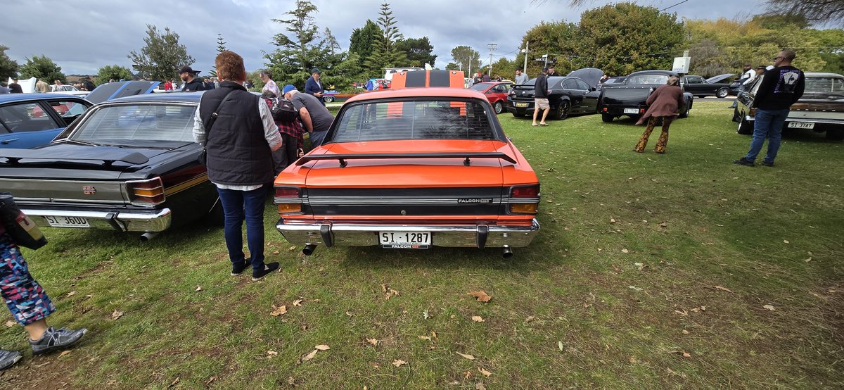 falconforums's tweet image. 