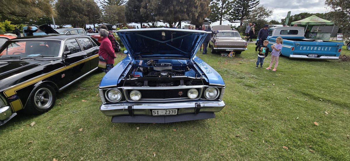 falconforums's tweet image. 