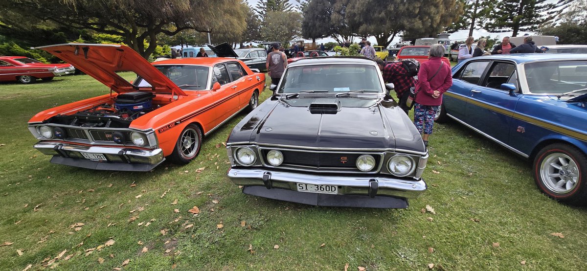 falconforums's tweet image. 