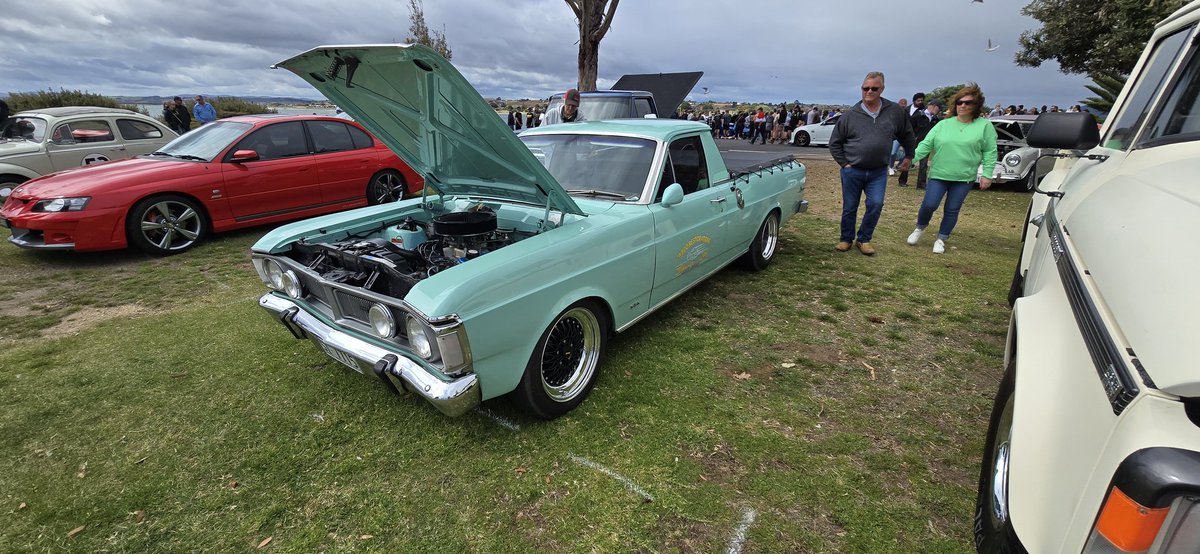 falconforums's tweet image. 