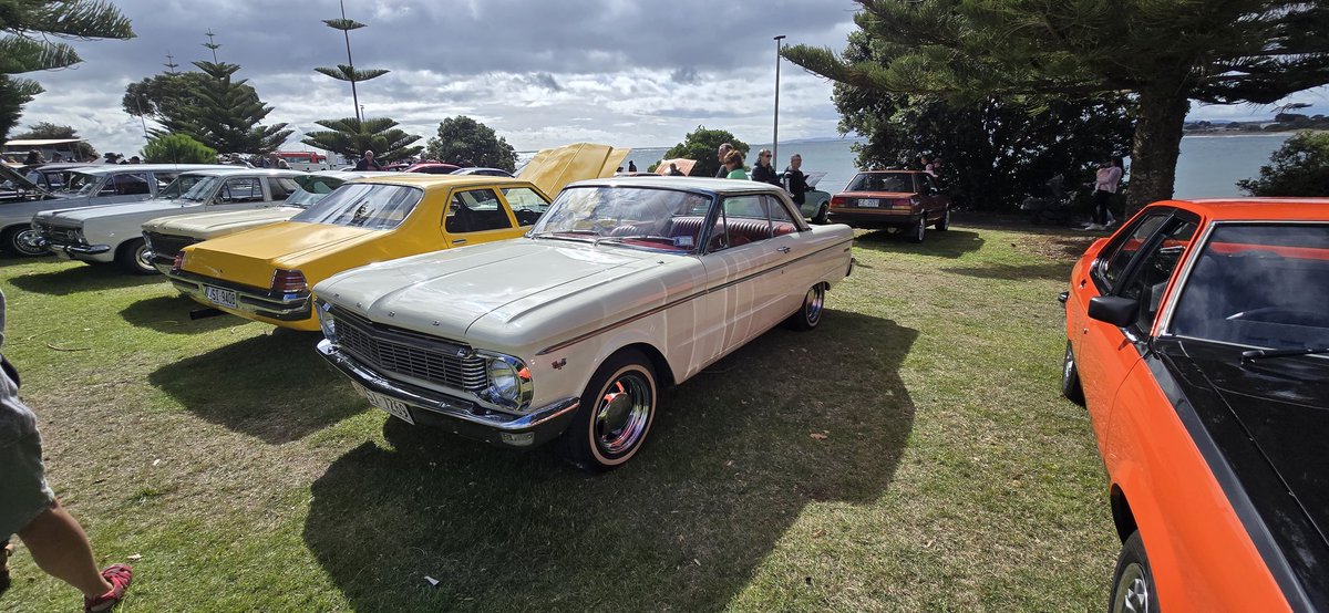 falconforums's tweet image. 