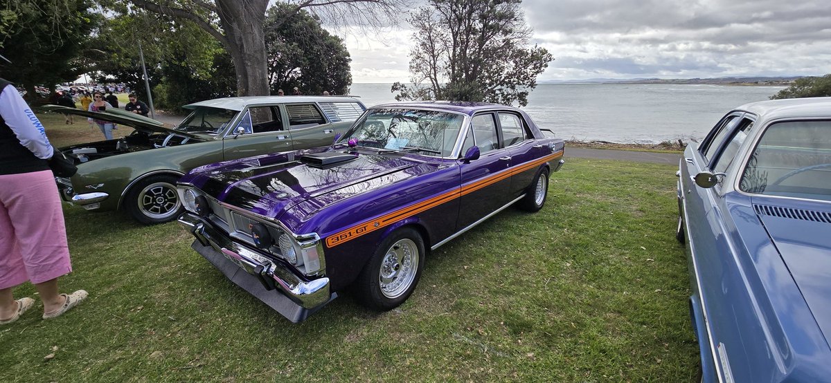 falconforums's tweet image. 