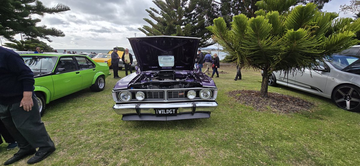 falconforums's tweet image. 