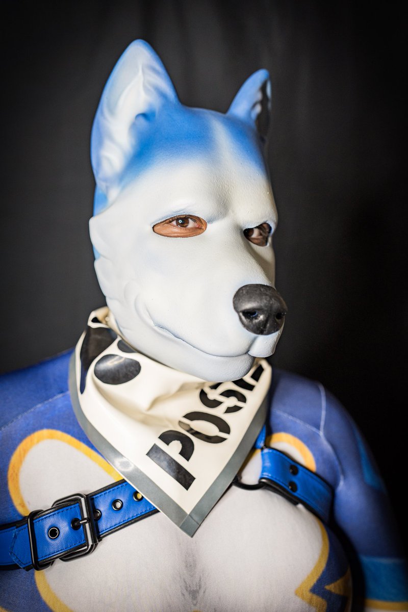 Hi I am Poseidon. 
🤍Bandana🩶 made by <a href="/solluxthepup/">Sollux🔜 bed lmao</a>
