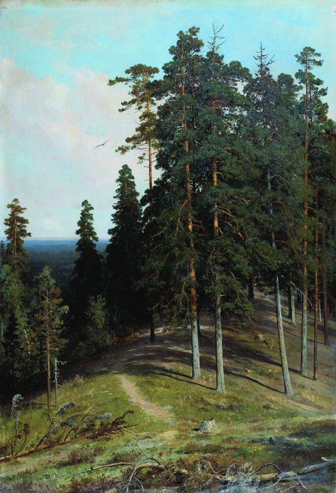 Forest from the mountain wikiart.org/en/ivan-shishk…