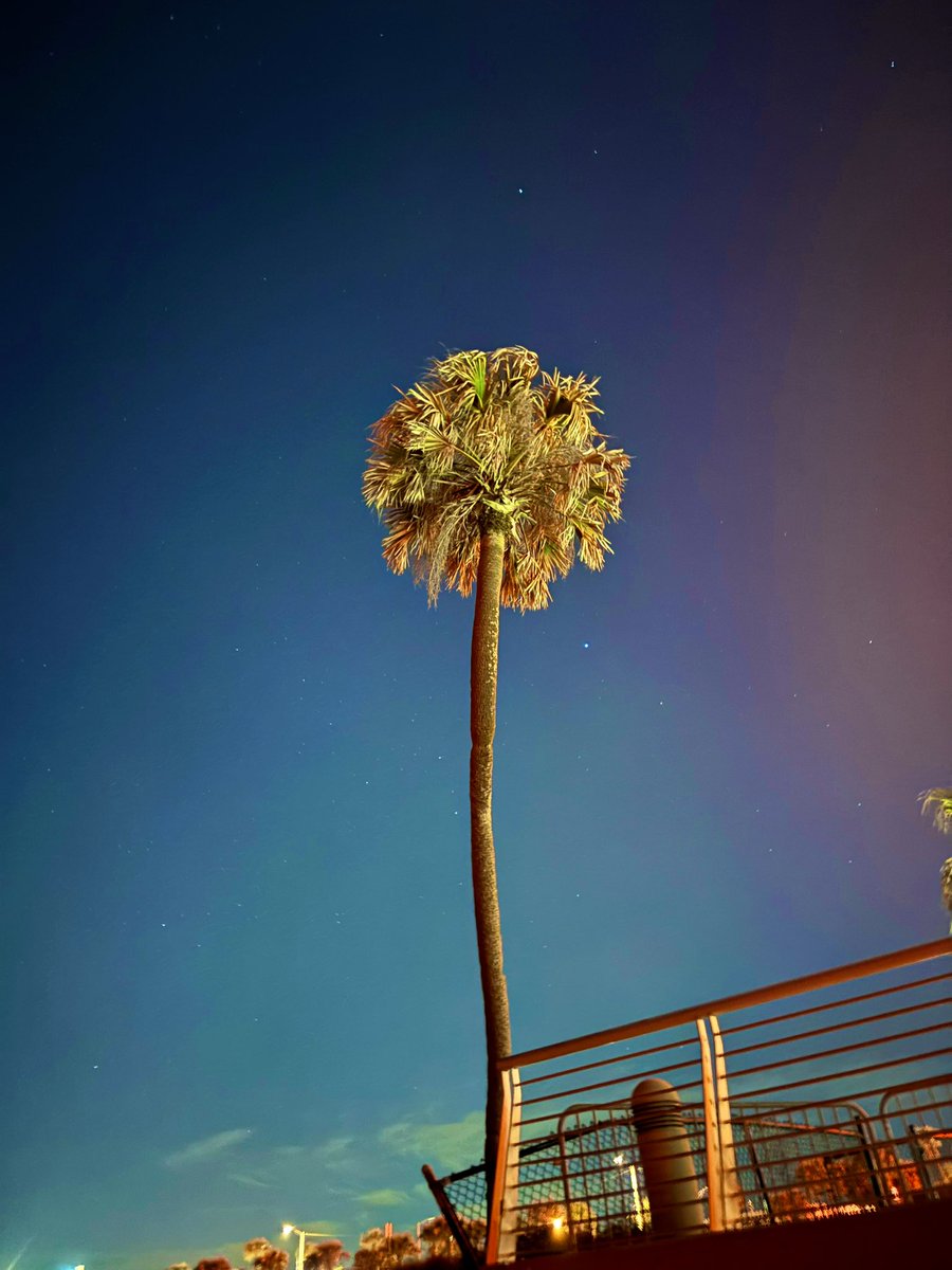 herbabae's tweet image. Seemed like a dream 🌊
#springbreakforever #SpringBreak2024