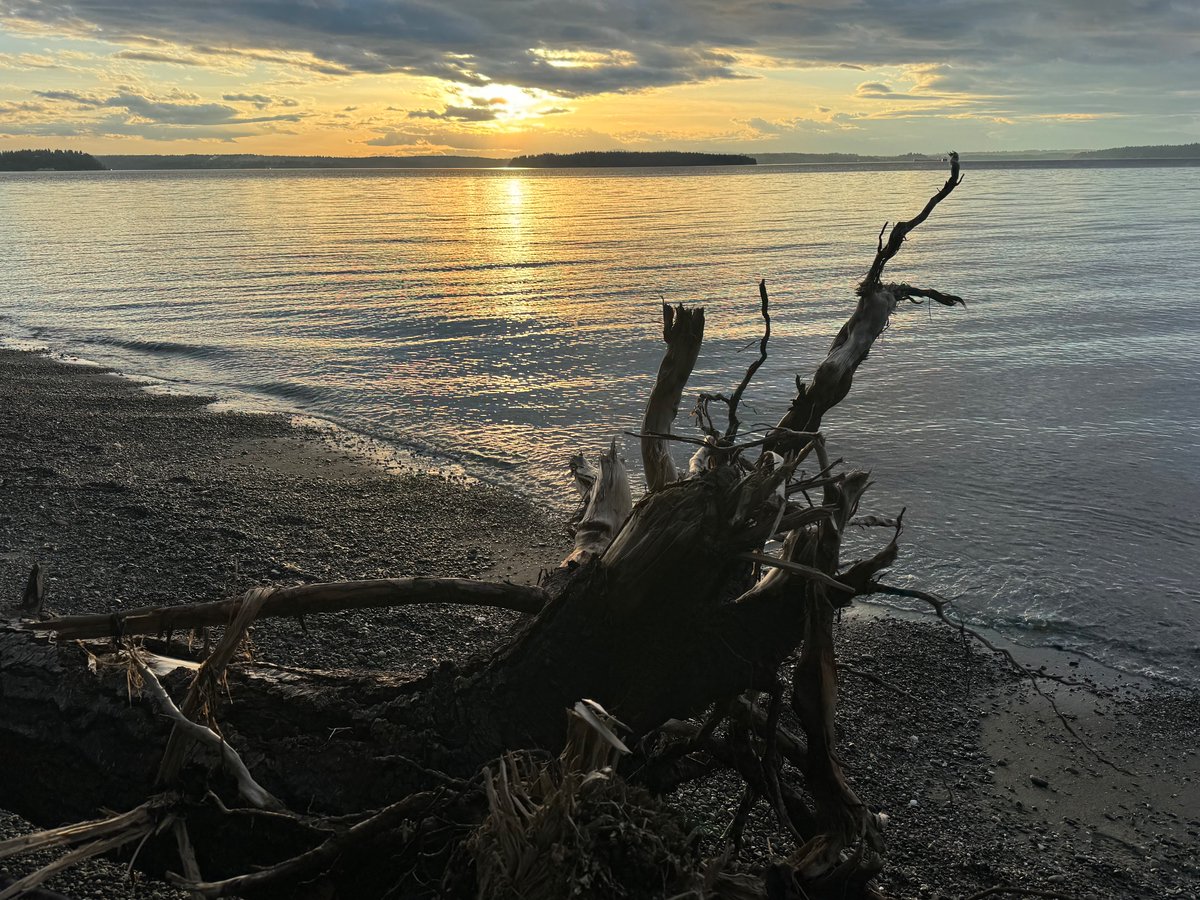 Beautiful evening in #seattle.  #pugetSound #trunksOfAmerica