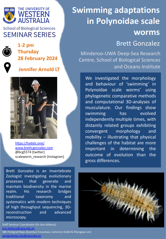 SEMINAR: Swimming adaptations in Polynoidae scale worms by Brett Gonzalez. Thursday 28 March @ 1-2pm, Jennifer Arnold Lecture Theatre, Zoology Building, UWA