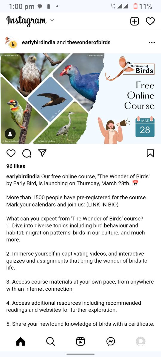 Scarletpimper20's tweet image. #Freeonlinecourse on the topic  &quot; the wonder of birds&quot; .