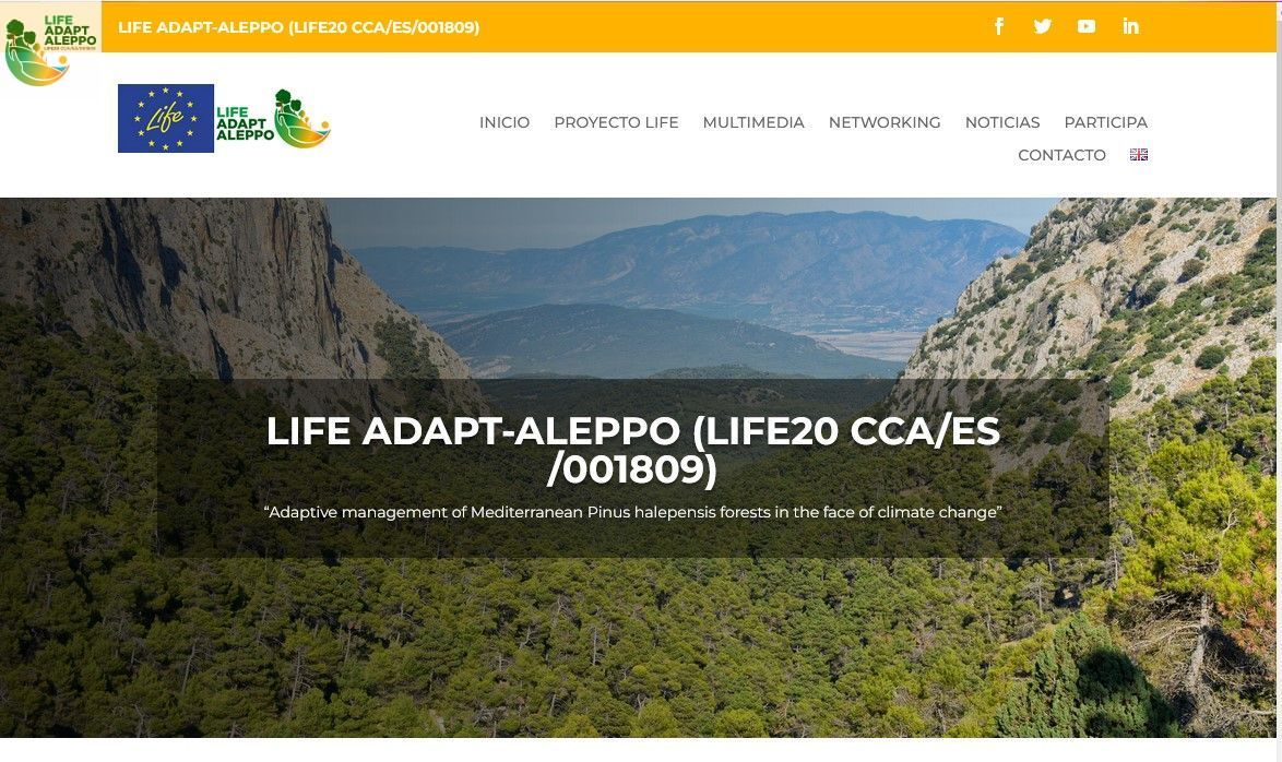 adaptaleppo's tweet photo. 😍 Recuerda visitar la web para seguir avance #Addaptaleppo:
migración asistida, selvicultura ecohidrológica, diversificación, gestión d regeneración postincendio #GestionForestal
@IEntornoNatural @UPV @ETSEAFIV_UdL @agrestascoop @EtsiamAb @AmbientalRM
🌏 https://t.co/UEGYkKvCe7 https://t.co/o4I5TOmRbz