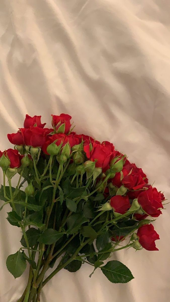 ONEDOORGARDEN's tweet photo. [💌] ⤸
From: You need to guess who
For: @featmatz @4riwoo @pawhks @ioveja3hyun @ah4mn @vibejunn @byeoleehn @riwoonvinyl @bndzyie @ashuaslvr 

Message: I don't feel like I say it enough but I'm really thankfully to you guys! (1/3) https://t.co/S2dsMT4XEK