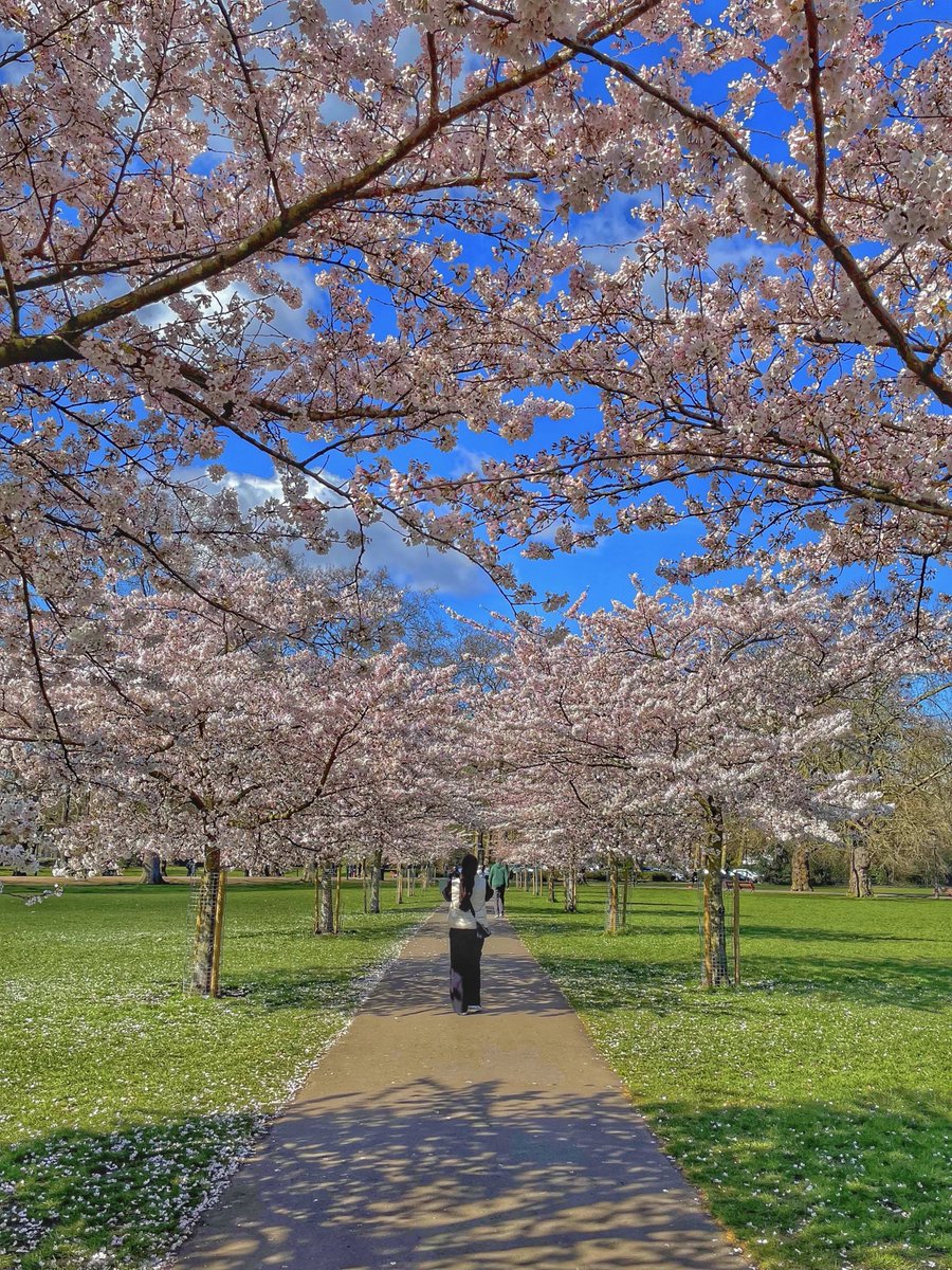 Quite remarkable how much seasons impact my #Parkinsons Spring is my fave. Everything is slightly brighter, slightly warmer ..& slightly more hopeful 🌸🩷 Seem to have a spring in my Parkinson's step ☺️