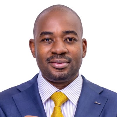 nelson chamisa tweet media