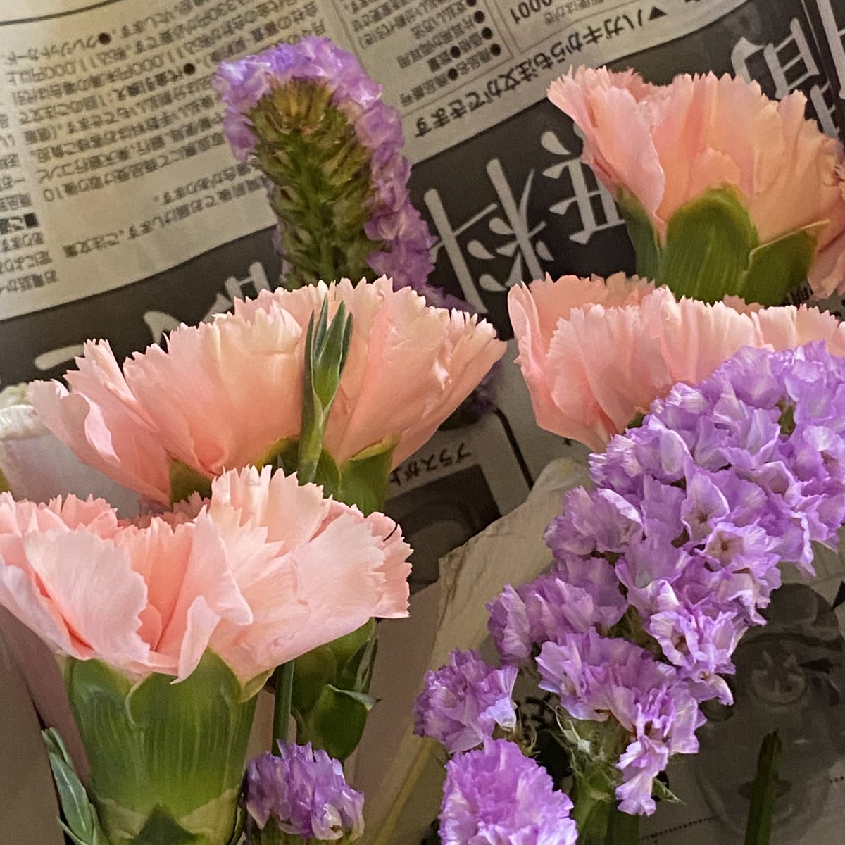 httpskisha's tweet image. proof of life 🩷