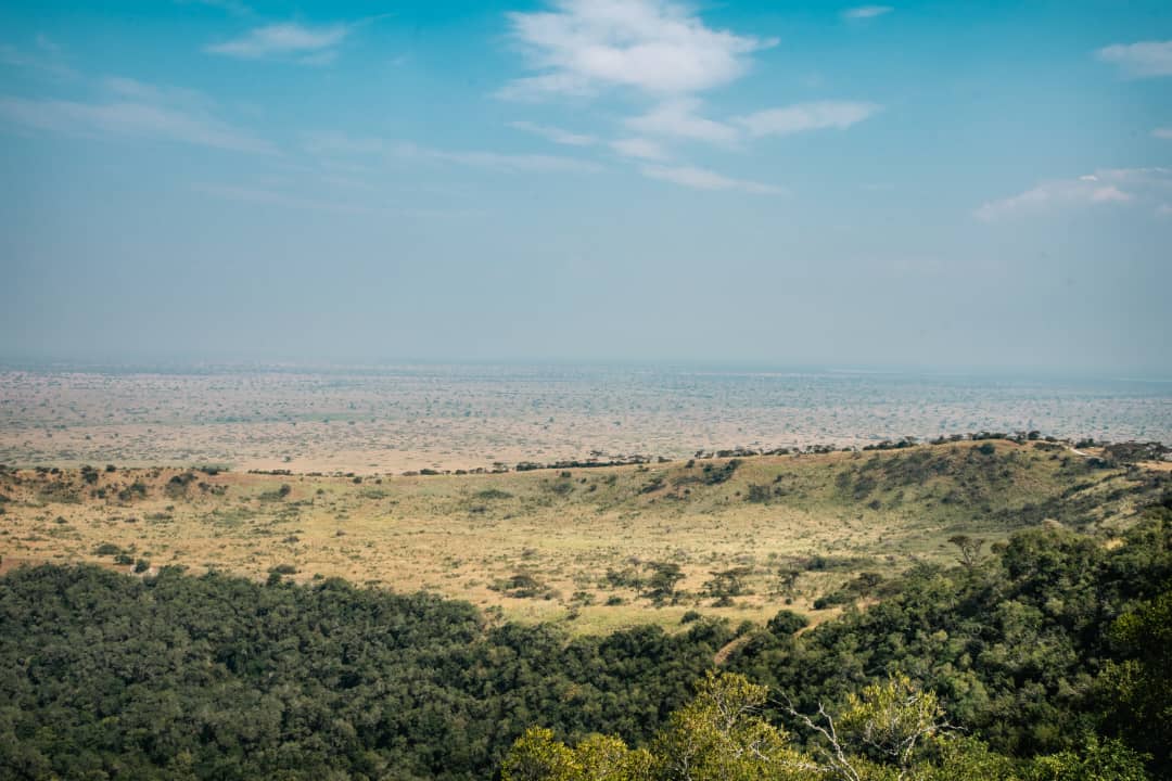 New week. New opportunities. New horizons. Call us today on ☎️0789 390 350. @TourismBoardUg @ExploreUganda @ugwildlife #KnowYourPark #QueenElizabethNationalPark #KikorongoSafariLodge