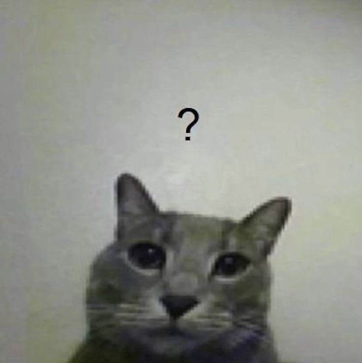 Dimehyzf's tweet photo. sbah lilah #UrgenceAttentat https://t.co/jhkTIvOhp5
