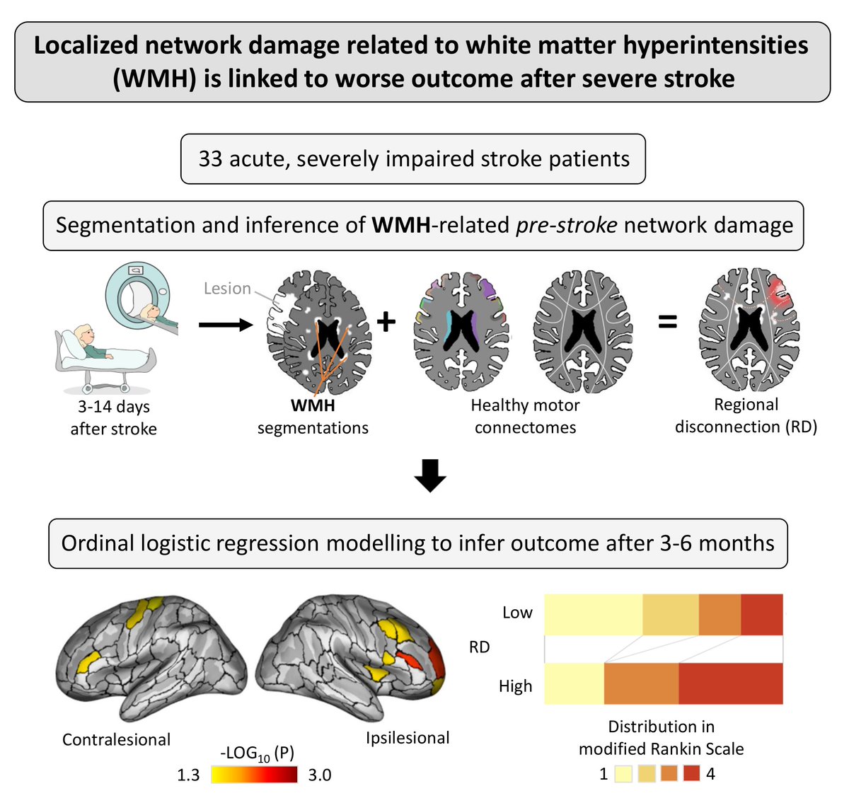 New preprint on brain #reserve: Connecting cerebral small vessel disease (#SVD) with brain #networks to understand outcome after severe #stroke. @SFB_936 @HamburgNeuro medrxiv.org/cgi/content/sh…