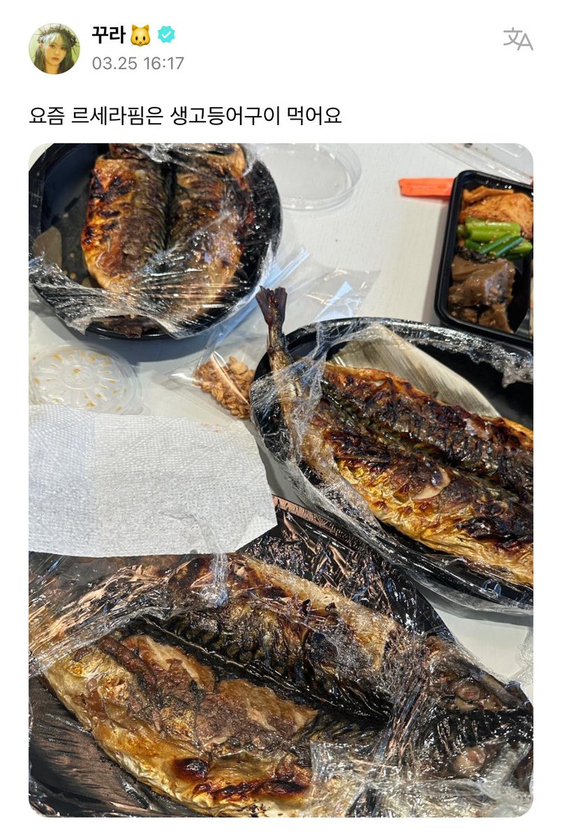 르세라핌 밥 걱정이 제일 쓸데없다
늘잘챙겨먹어서